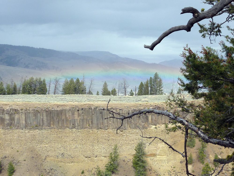 Yellowstone Tower Roosevelt (47).JPG
